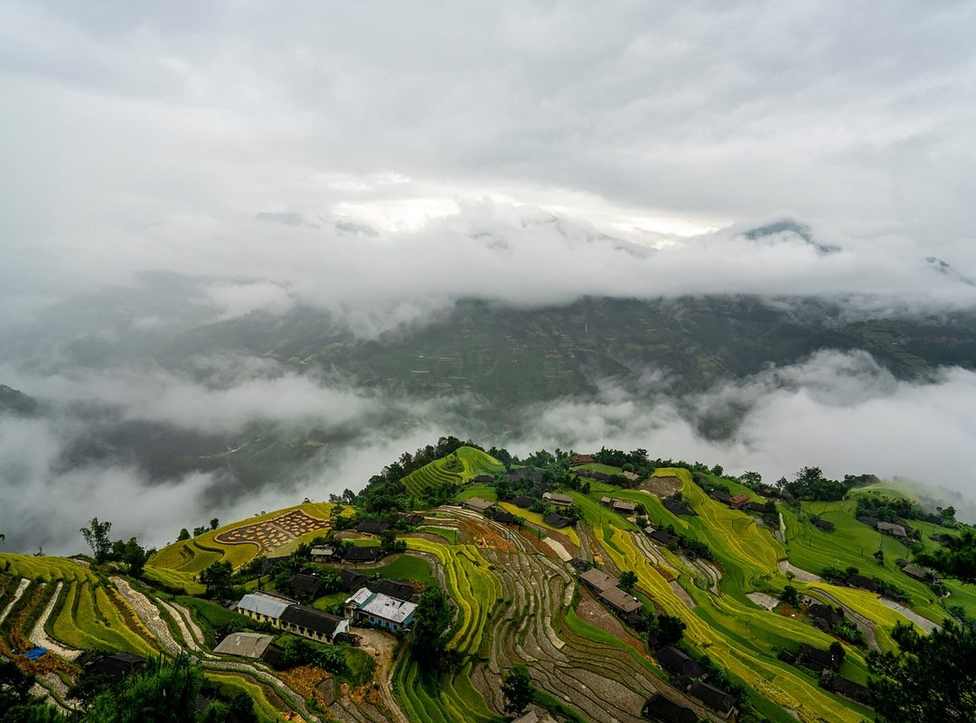 Garage Organizing Advice Livpristhouse