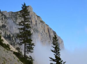 pequeño tatuajes en los gluteos