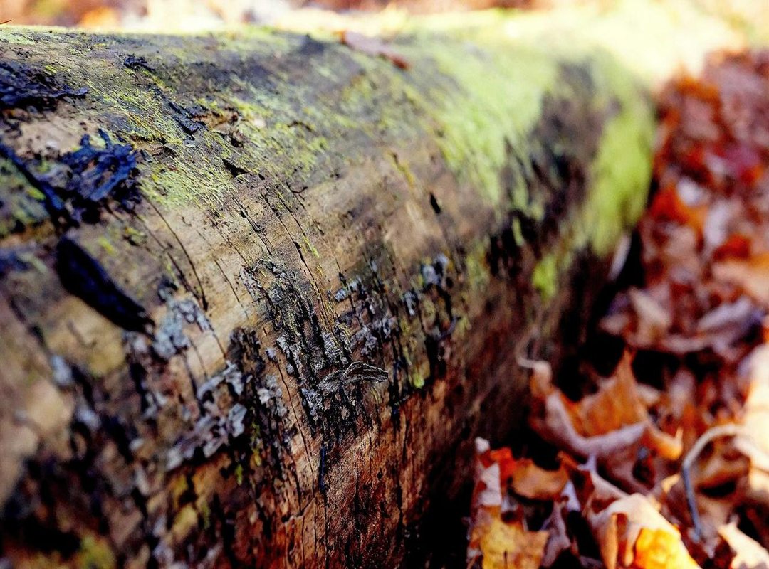 Cultural Context: Why This Phrase Is So Common in Spanish-Speaking Communities