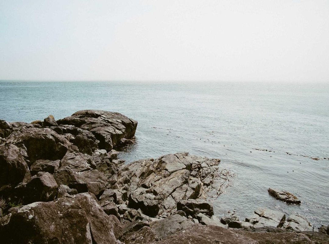 Your First Animated Graffiti: A Simple Step-by-Step Tutorial