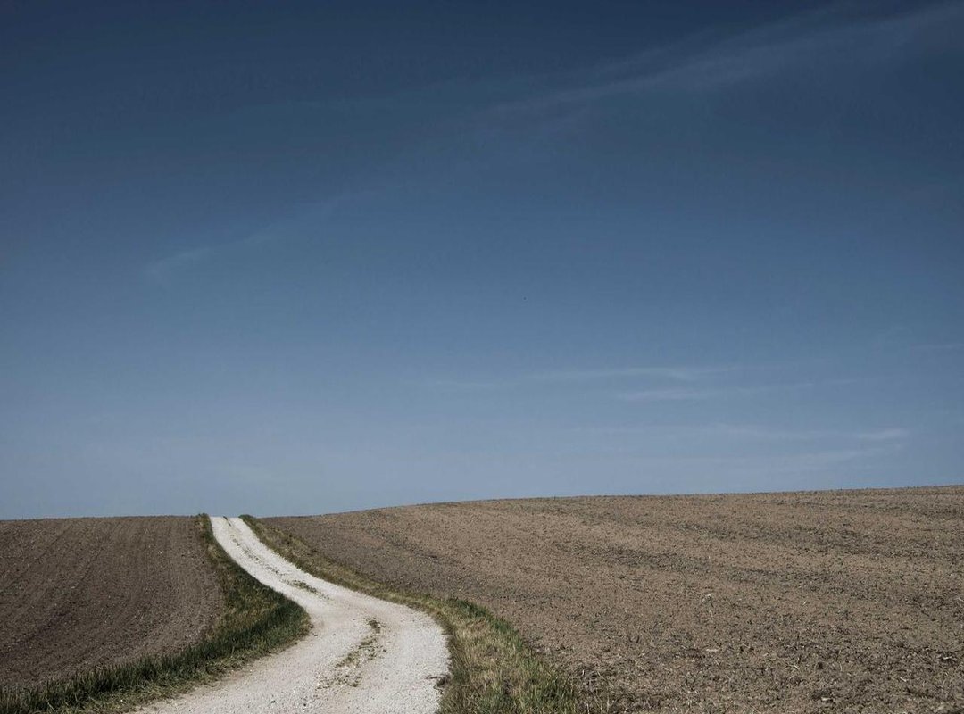 Bringing Characters to Life: Expressions and Poses