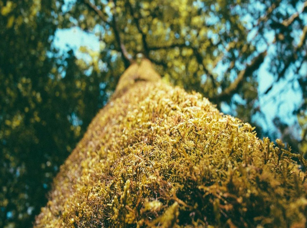 Looking at the Full Picture: Recent Appearances and Career Plans