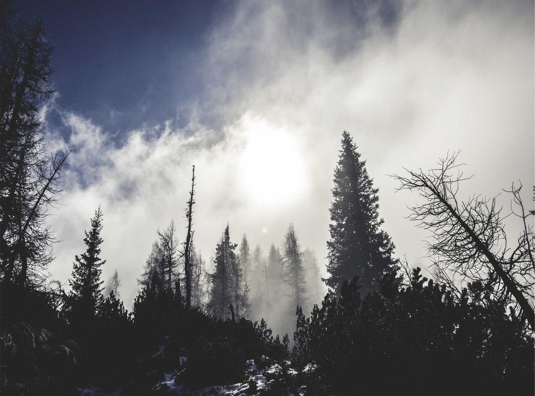 From Screen to Space: Using Digital Art in Your Home