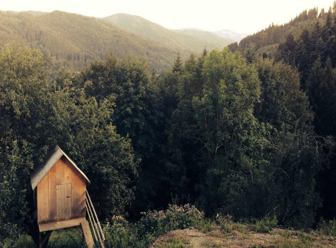 Key Considerations: Mobile Access, Support, and Security