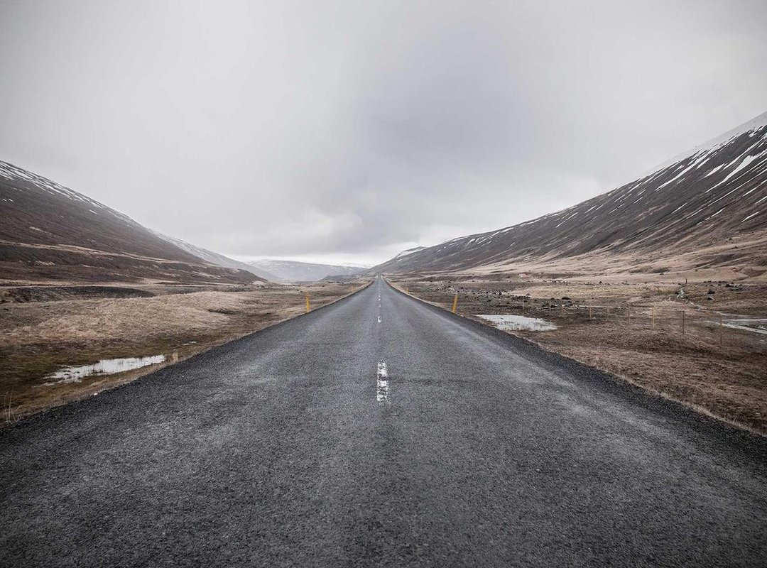 Life After the Meme: The Real-World Impact