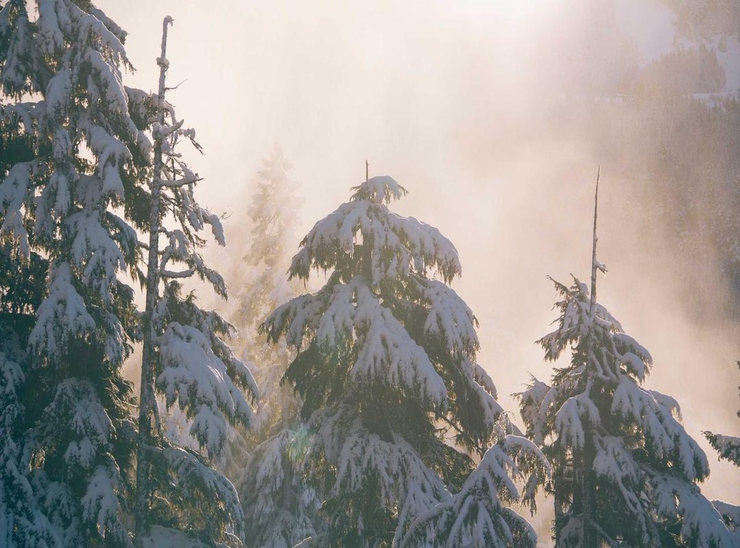 The Price Tag: How Much Does It Cost and Where Can You Buy It?