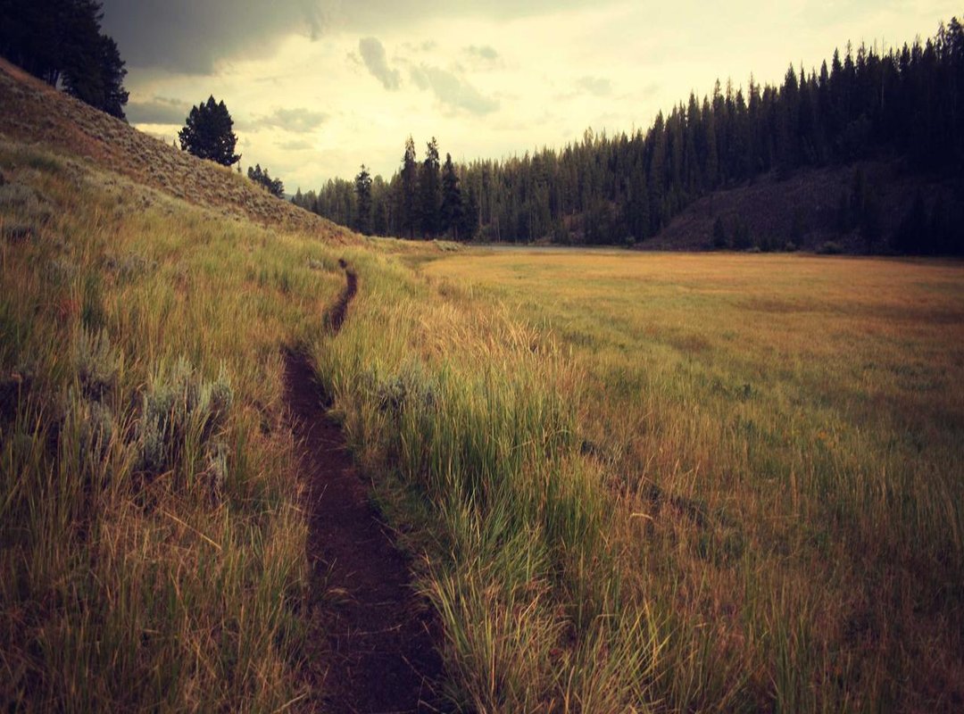 Understanding the Appeal: Why Her Following Continues to Grow