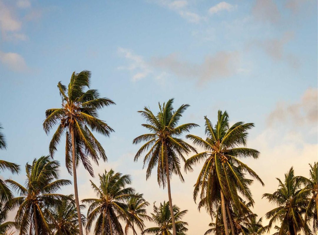 Spotting 'Clown Tech': A Guide to Gadgets That Aren't a Joke