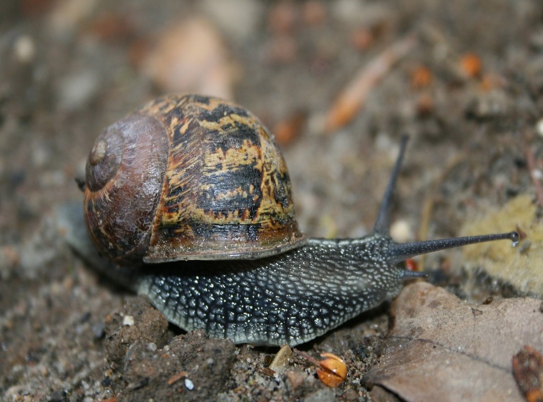 How to Get Started with Spicychat in 5 Minutes