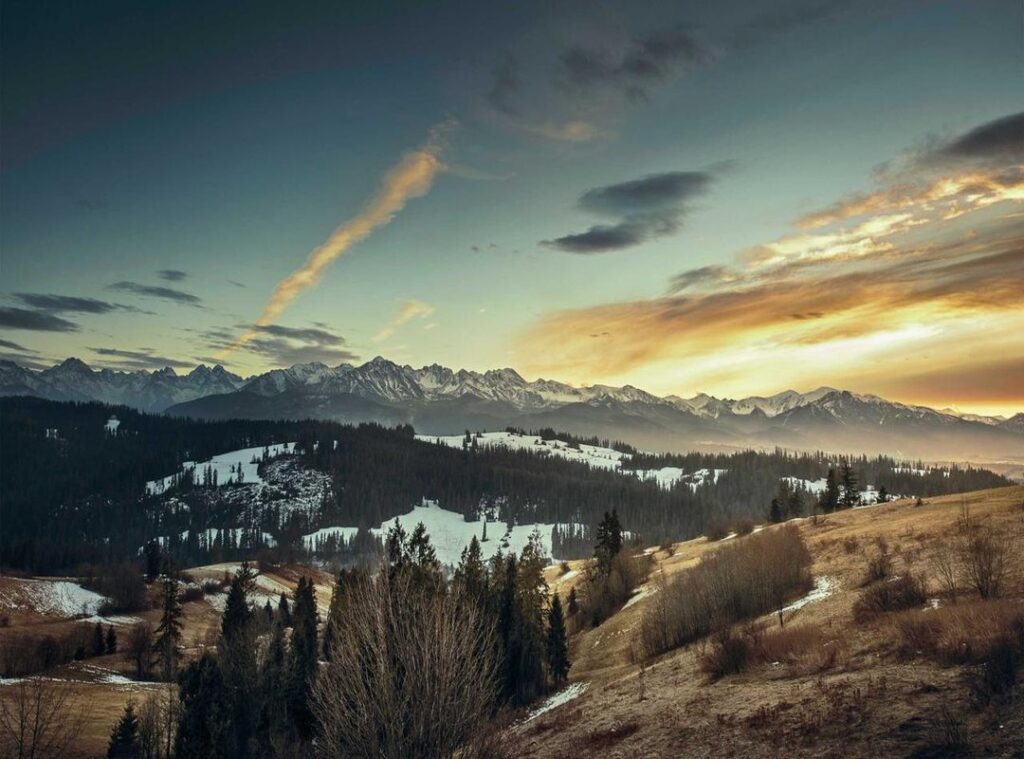 videogamesscz.github.io/videohost