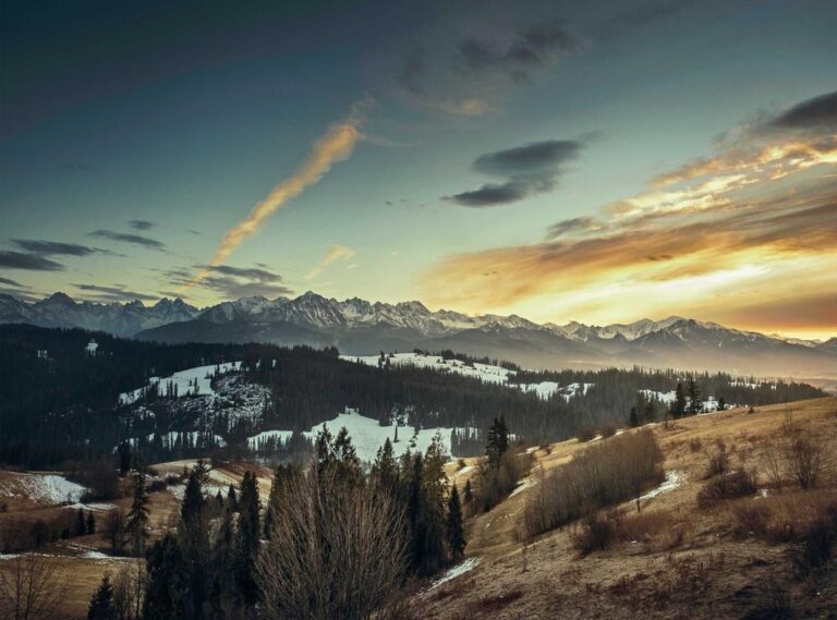 videogamesscz.github.io/videohost