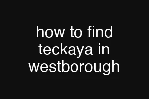 how to find teckaya in westborough